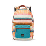 Donec vel nunc sit amet tellus cursus